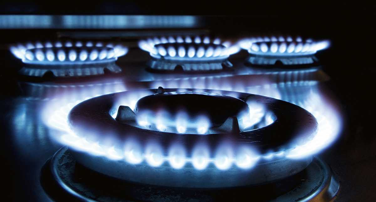 Inspección en materia de gas natural 
